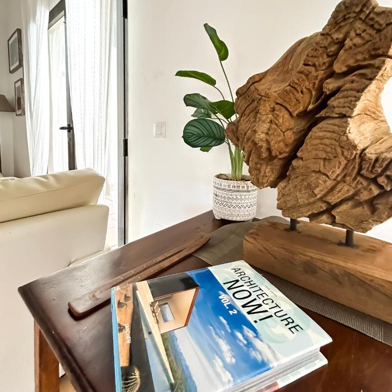 House BOHO PALM with PRIVATE HEATED POOL and garden, 3 bedrooms, Wi-Fi - Villa de 3 dormitorios - 9