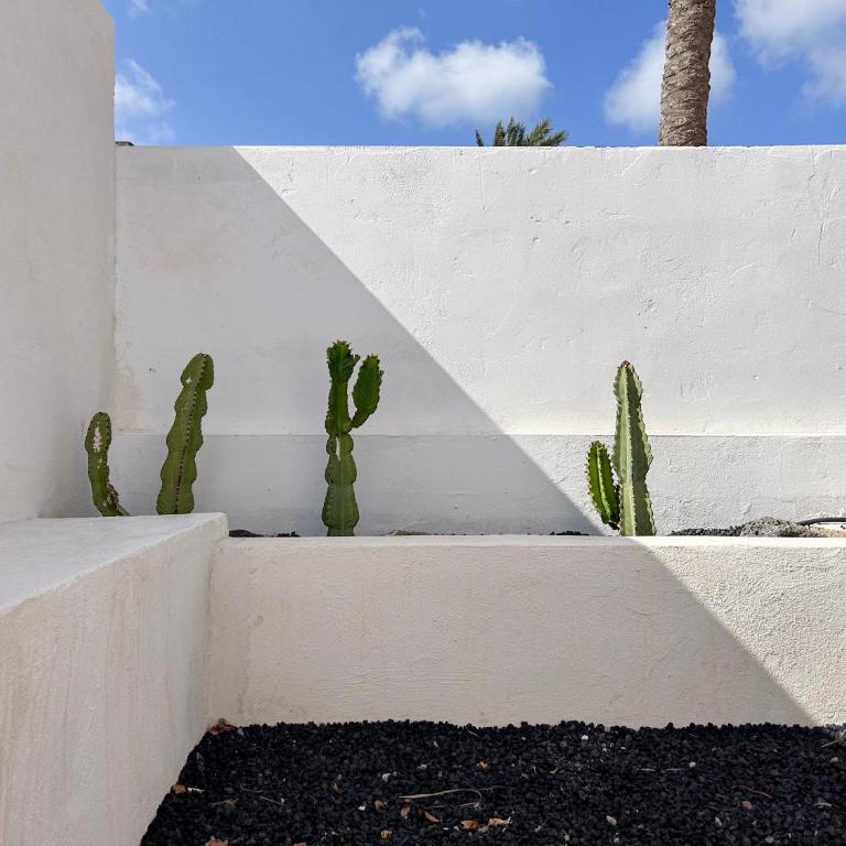 House BOHO PALM with PRIVATE HEATED POOL and garden, 3 bedrooms, Wi-Fi - Villa de 3 dormitorios - 25