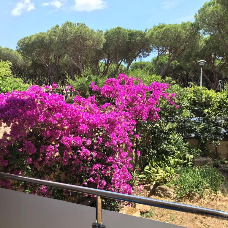 T3 de 65 m2 terrasse jardin à 300 m de la mer - Apartamento de 2 dormitorios - 3