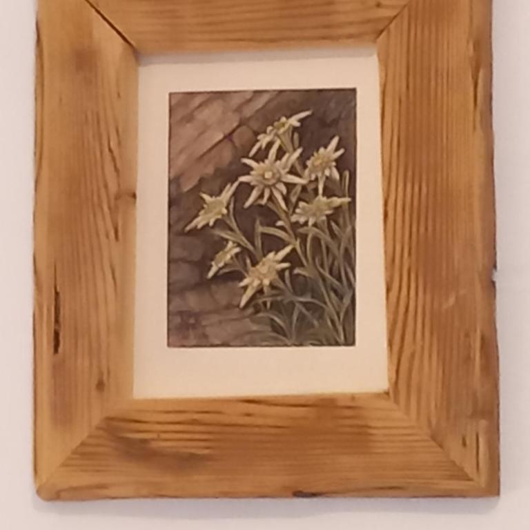 Scheffauerhof - Apartamento - Sótano - 4