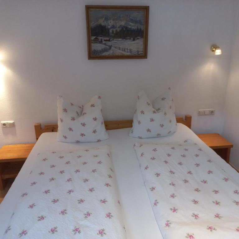 Scheffauerhof - Apartamento de 1 dormitorio - 1