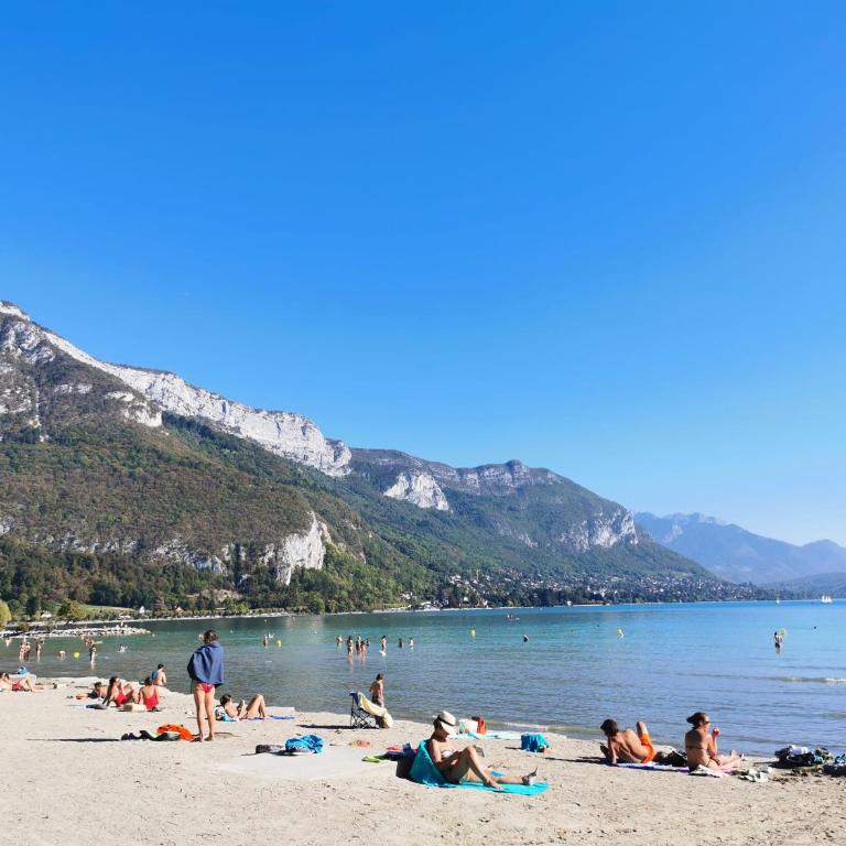 Charmant appartement à 1 minute du lac - Apartment mit 1 Schlafzimmer - 14