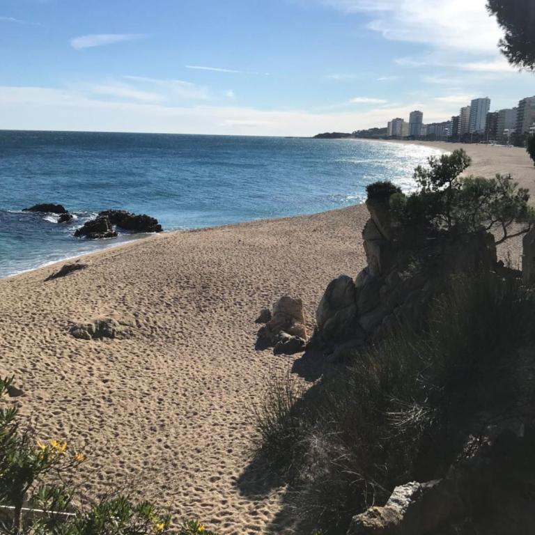 T3 de 65 m2 terrasse jardin à 300 m de la mer - Apartamento de 2 dormitorios - 28