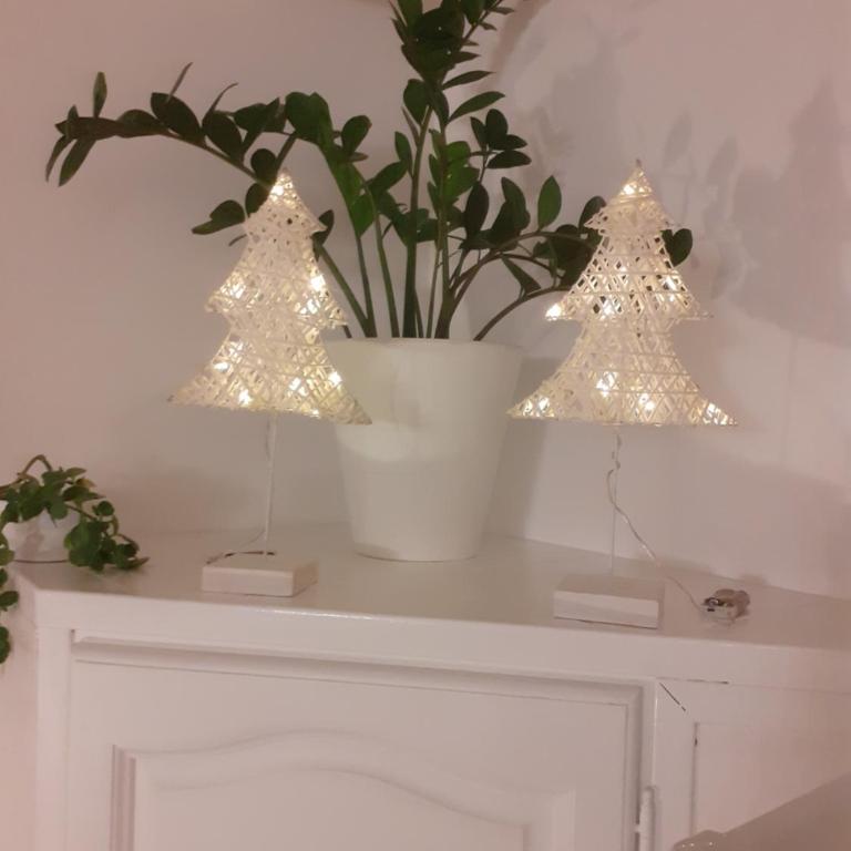 petite maison cosy avec exterieur - Appartement 1 Chambre - 10