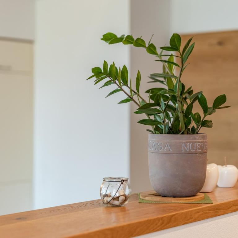Apartmenthaus - Erlebenswert Bauernhof Gruber - Apartment mit 3 Schlafzimmern - 30