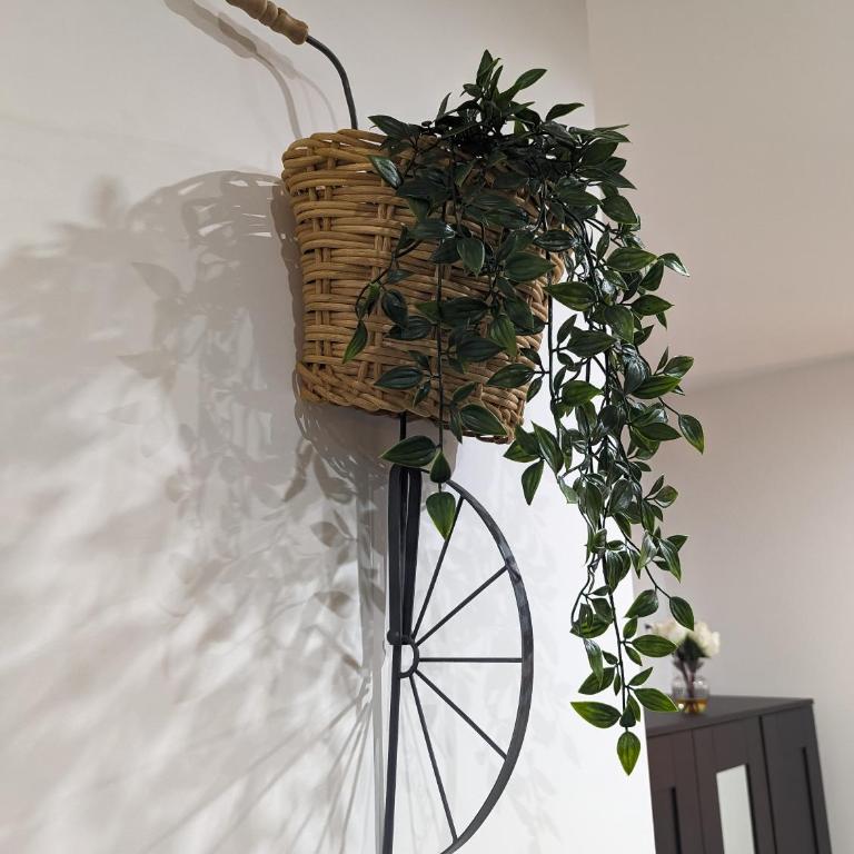 Amari home - Appartamento con 1 Camera da Letto - 21