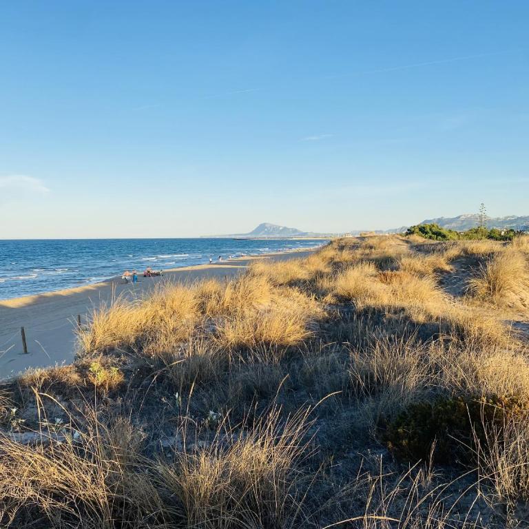 Anacasa Pizarro Playa Pau Pi AP602 - Apartamento con terraza - 28