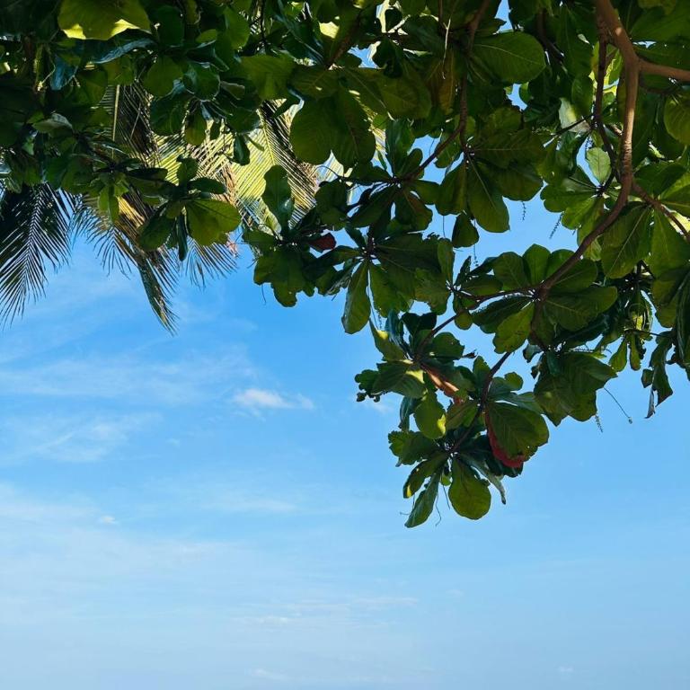 Apartamento a mts de la playa Elegante y Acogedor - Apartamento de 1 dormitorio - 33