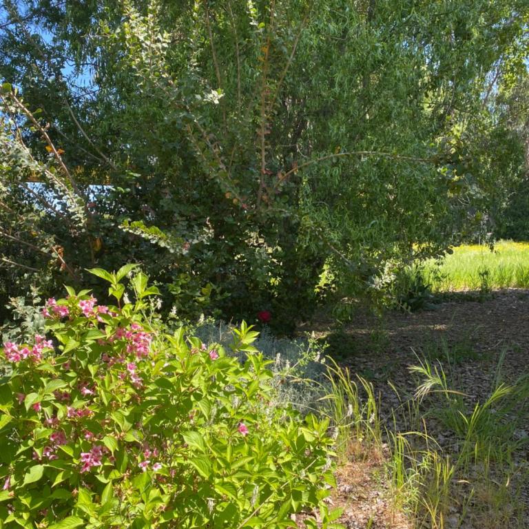 Casa en entorno natural - Two-Bedroom House - 9