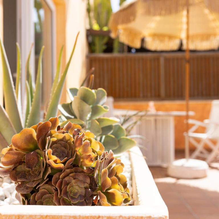Palm Beach House - Three-Bedroom House - 26