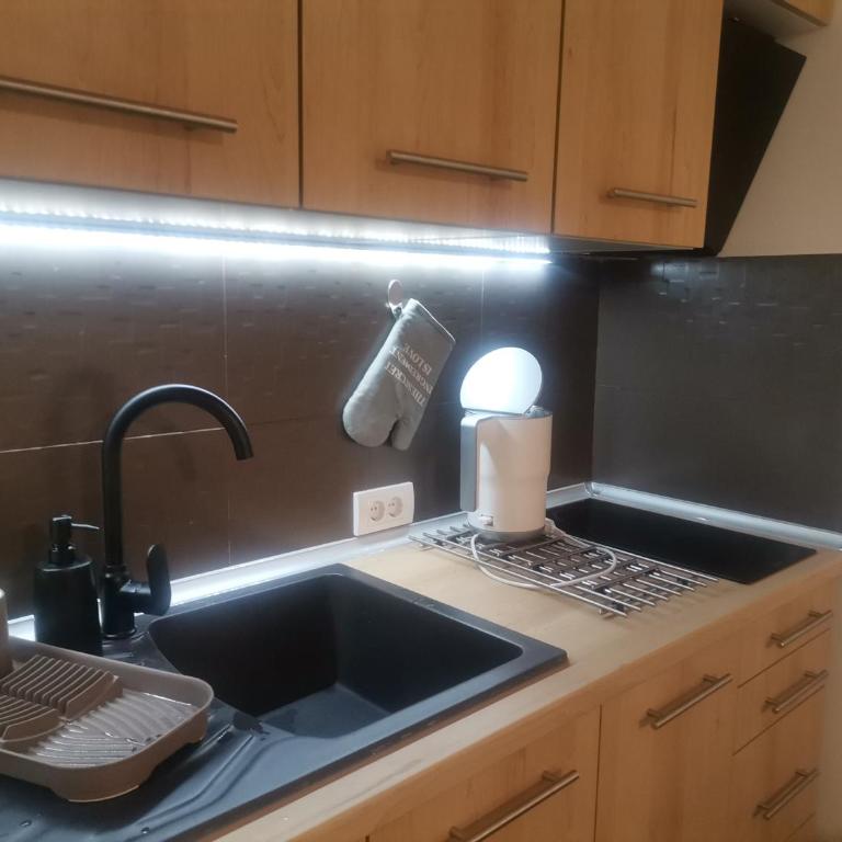 MDM Apartman Vrnjačka Banja - One-Bedroom Apartment - 6