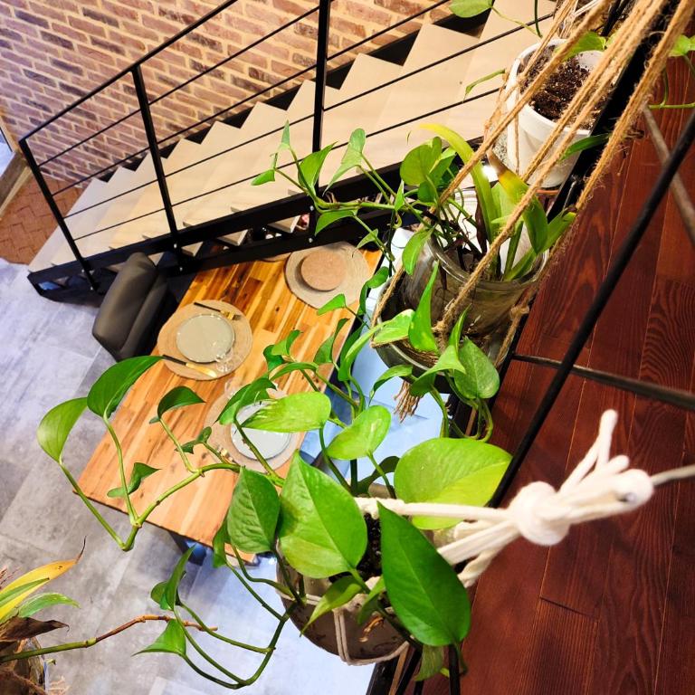 le Travertin - Loft - 5