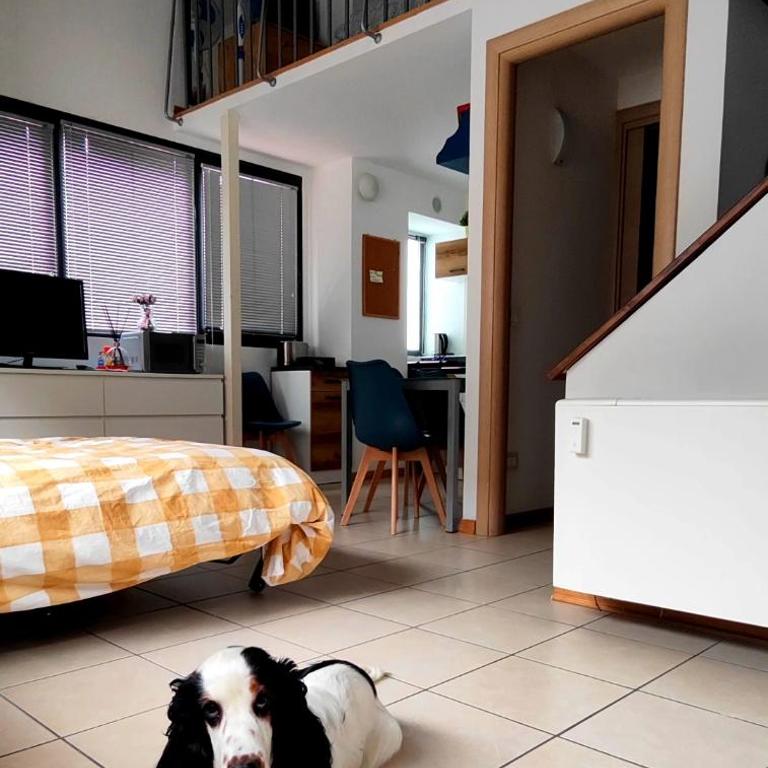 Gemme Fiorentine Apartments in front of the train station 5 minutes from the centre Free parking - Appartamento con 1 Camera da Letto - 7