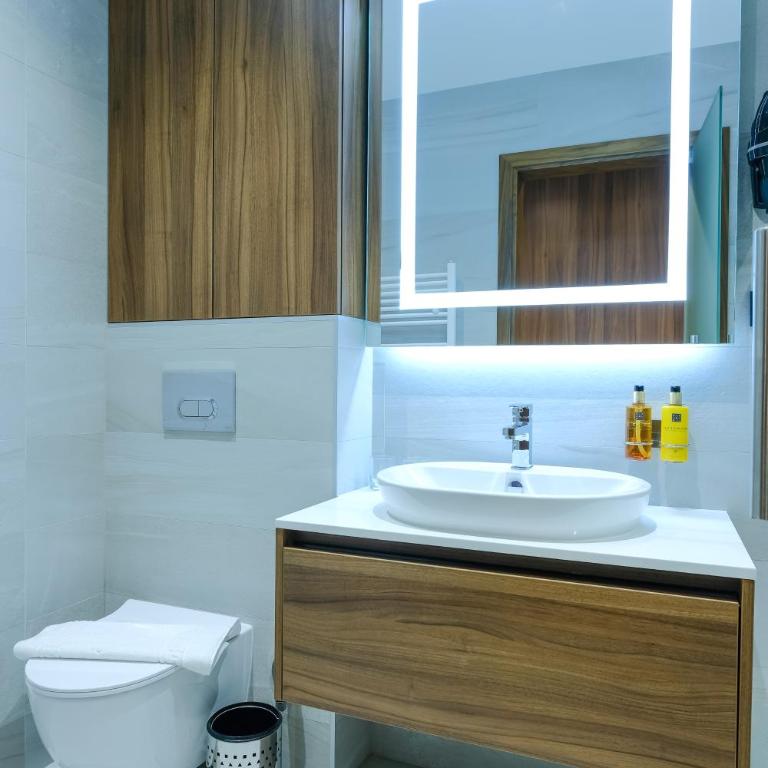 Hotel Vema - Deluks Dvokrevetna Soba sa Bračnim Krevetom - 15