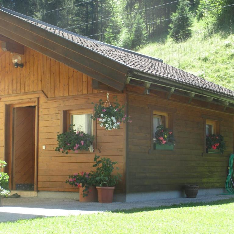 Schwarzenbacher - Apartment - 18