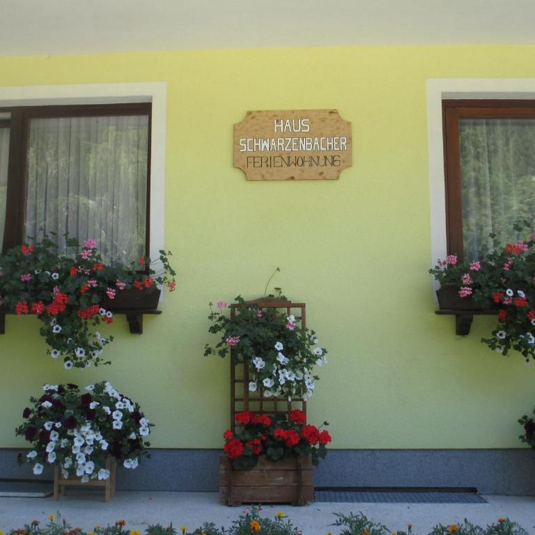 Schwarzenbacher - Apartment - 43