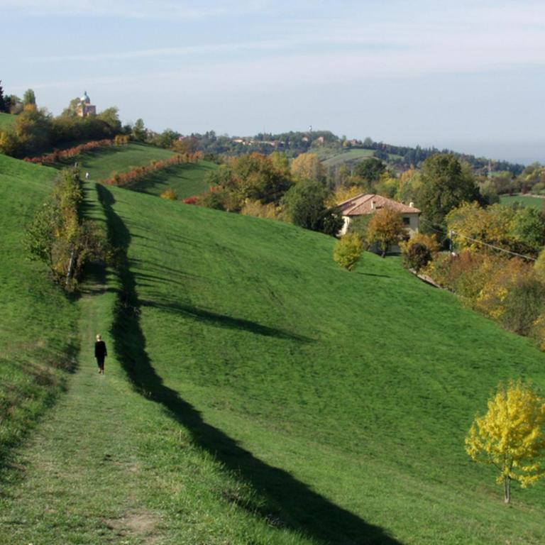 Casa Santa Caterina - Appartamento con 1 Camera da Letto - 22