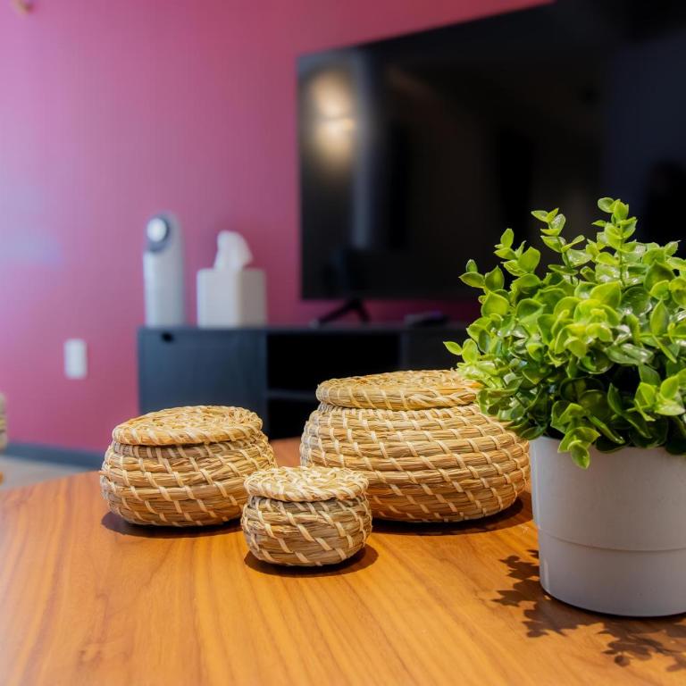 Capitalia Condesa Escandon - Classic Apartment, 2 Bedrooms - 4