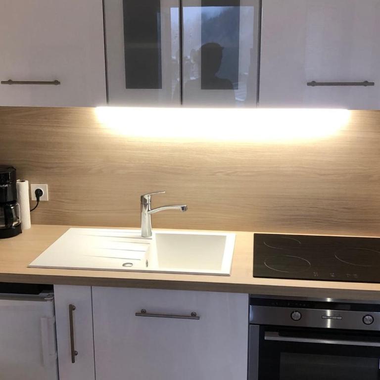 Studio 4 pers, balcon, proche centre Châtel - FR-1-676-47 - Studio - 2