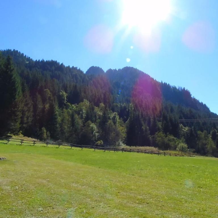 Appartement Châtel 2 pièces - 4 personnes, proche télésiège - FR-1-676-131 - Appartement - 13
