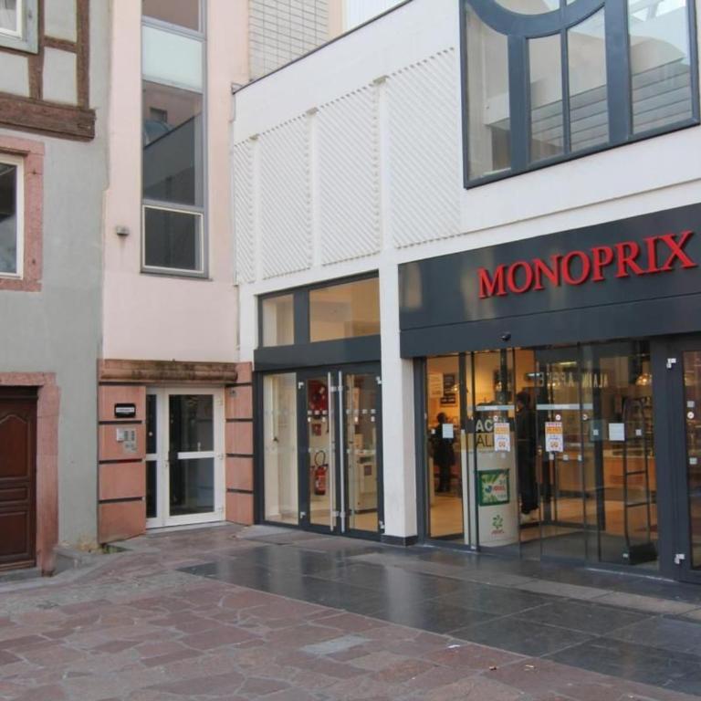 Appartement Rénové, 3 Ch. avec Parking Privé, Hyper-Centre Colmar - FR-1-744-36 - Apartment - 4