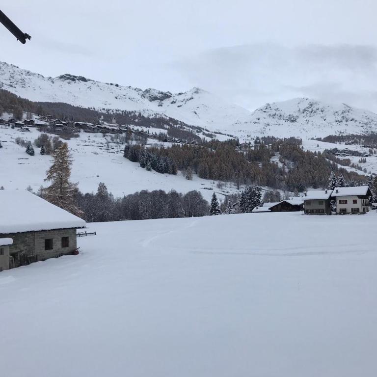 Il Pettirosso - Appartamento Panoramico con 3 Camere in Villetta - Appartamento con 3 Camere da Letto - 12