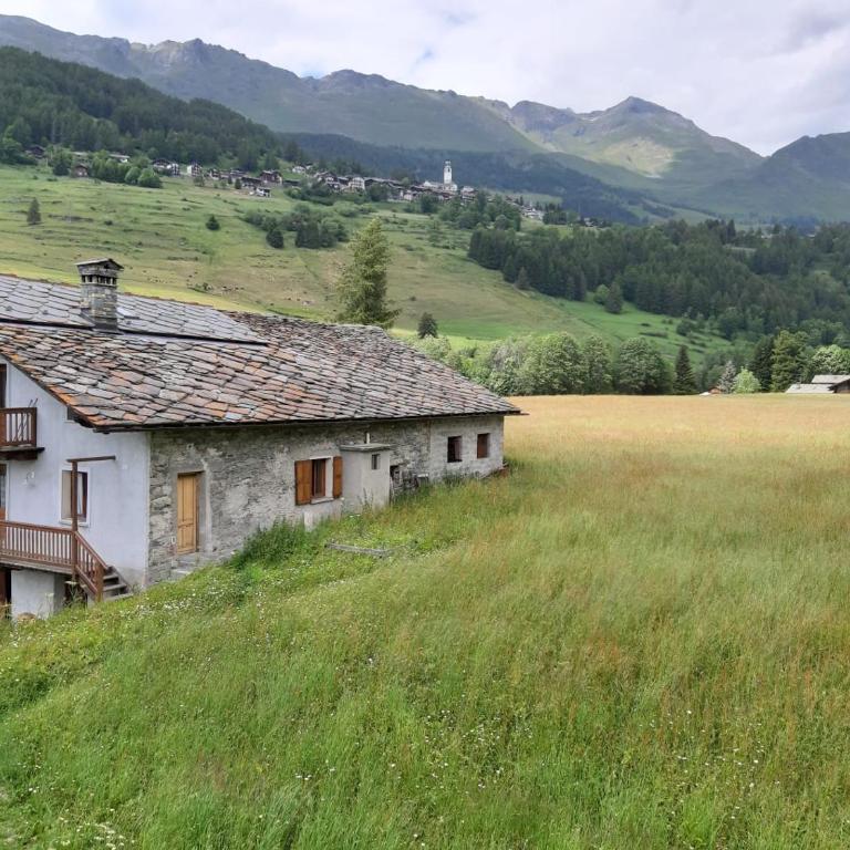 Il Pettirosso - Appartamento Panoramico con 3 Camere in Villetta - Appartamento con 3 Camere da Letto - 24