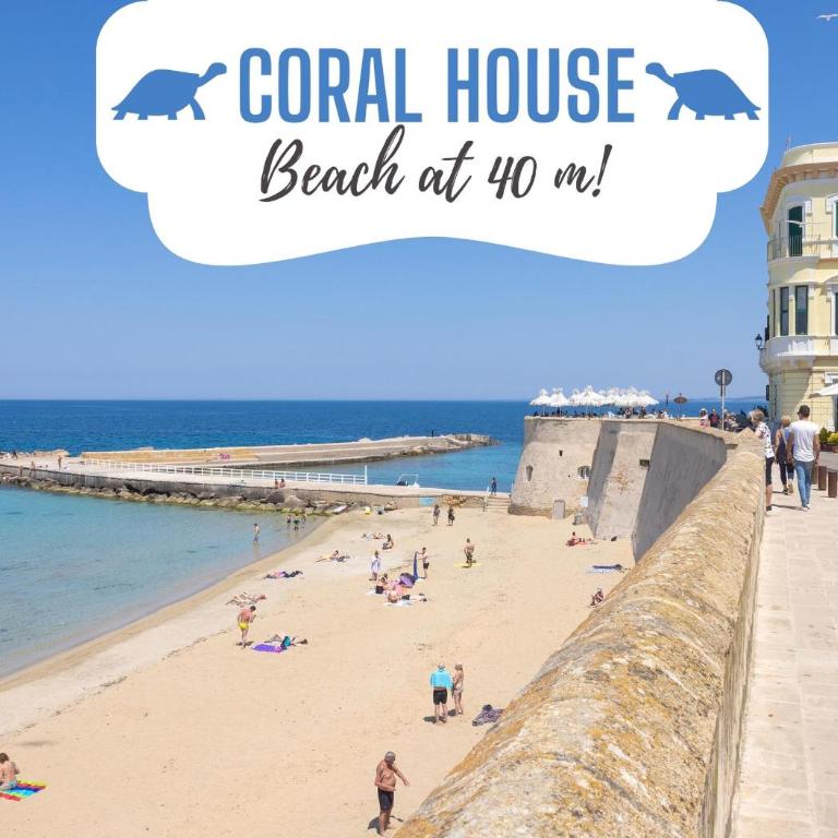 Coral - 30 passi dalla Spiaggia della Purità - Appartamento con 1 Camera da Letto - 1