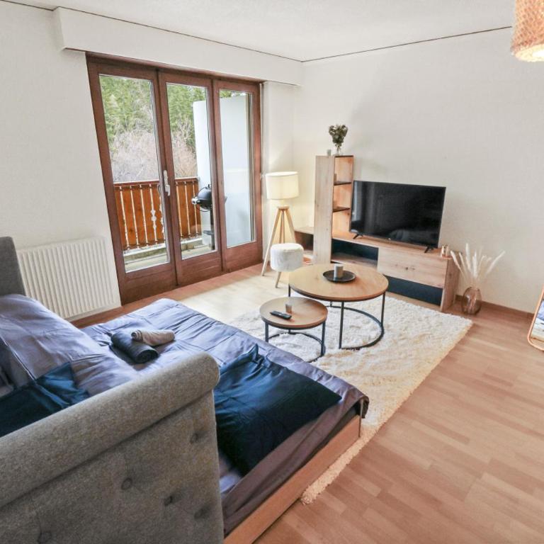 Charmant appartement au centre - Appartement 1 Chambre - 16