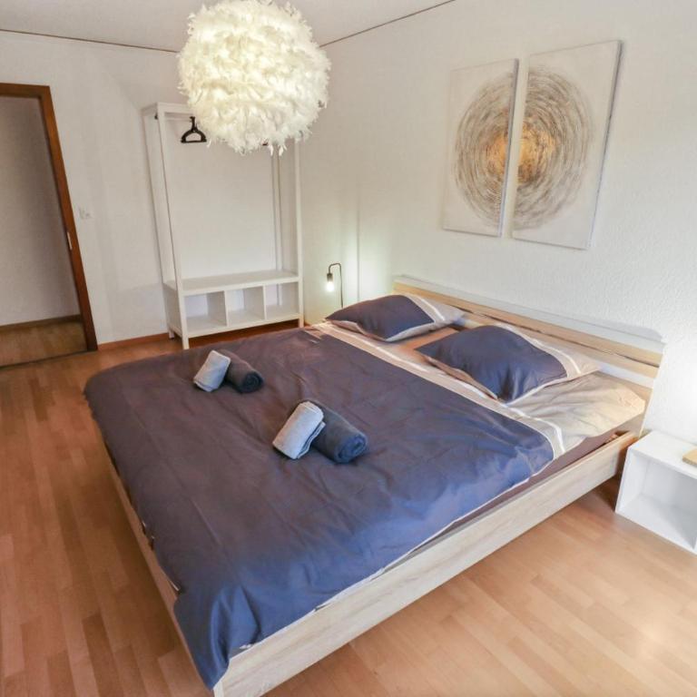Charmant appartement au centre - Appartement 1 Chambre - 25
