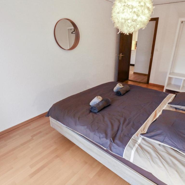 Charmant appartement au centre - Appartement 1 Chambre - 26