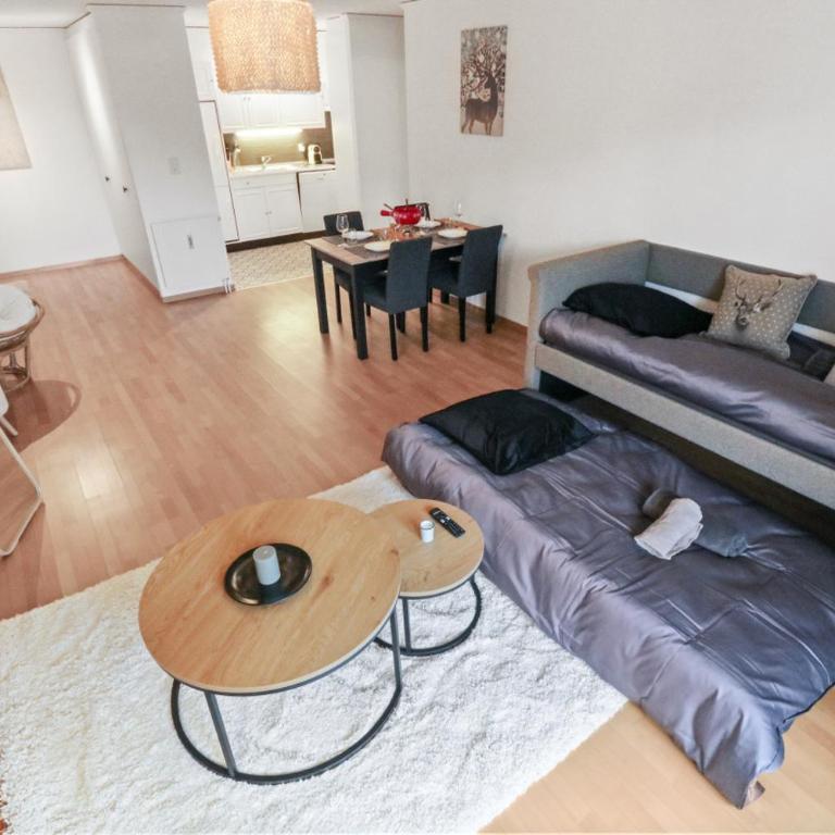 Charmant appartement au centre - Appartement 1 Chambre - 17