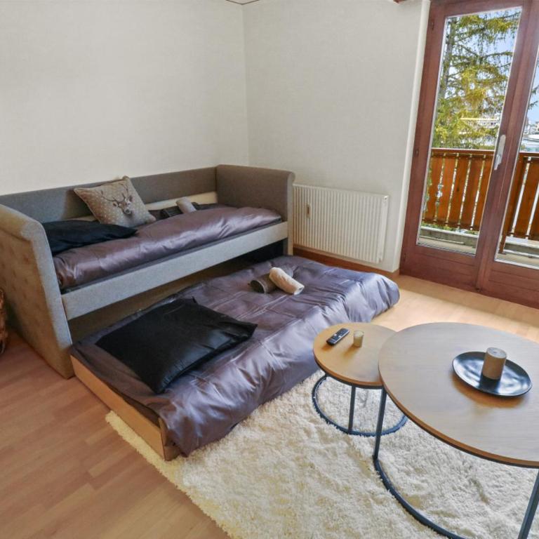 Charmant appartement au centre - Appartement 1 Chambre - 18
