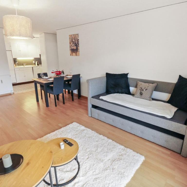 Charmant appartement au centre - Appartement 1 Chambre - 13