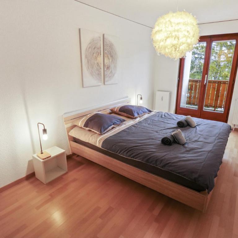 Charmant appartement au centre - Appartement 1 Chambre - 23