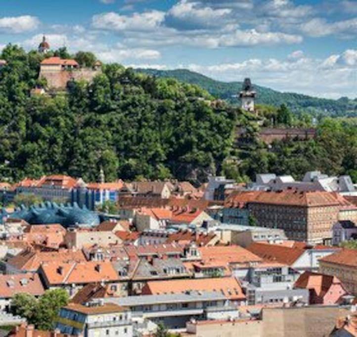 studio13 central and cozy apartment Graz - Appartamento con 1 Camera da Letto - 40