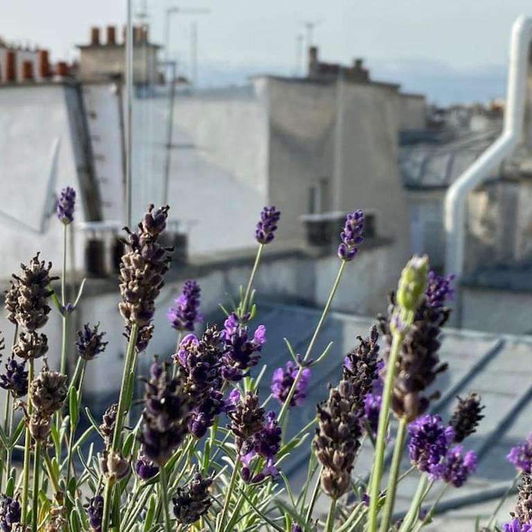 Penthouse with Terrasse and view on Eiffel tower - Three-Bedroom Apartment - 27