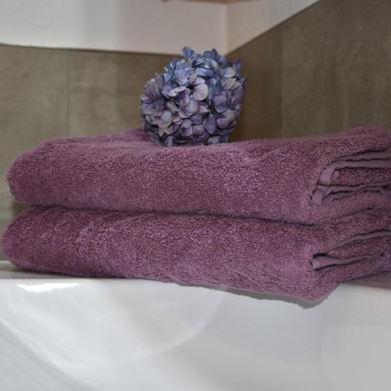 Apartment Bergfieber - Apartment mit Dusche - 11
