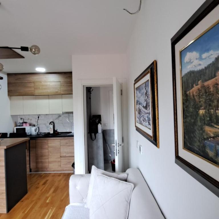 Apartman Tamjanika LUX - Apartman sa 1 Spavaćom Sobom - 38