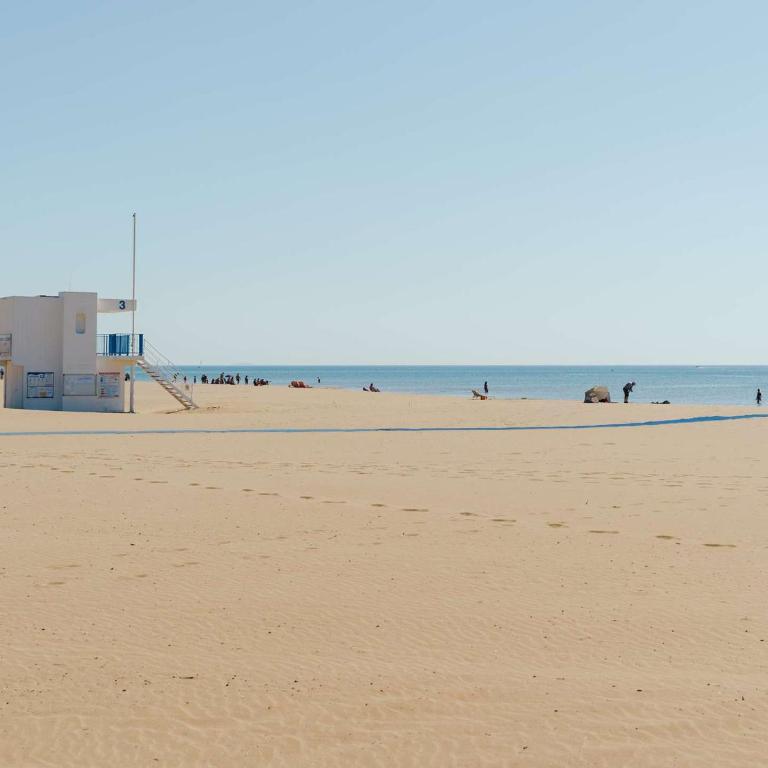 Appartement T2 bord de mer 2 pers, animaux admis, parking public, location draps & serviettes - Appartement 1 Chambre - 12