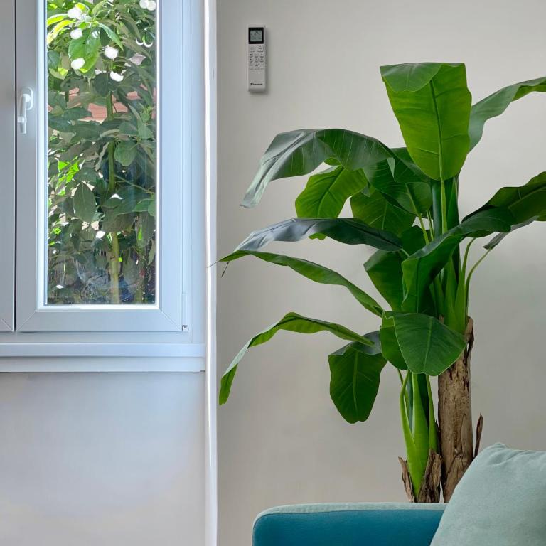 Avocado House - Cozy Apartment in the Heart of Rome - Appartamento con 2 Camere da Letto - 7