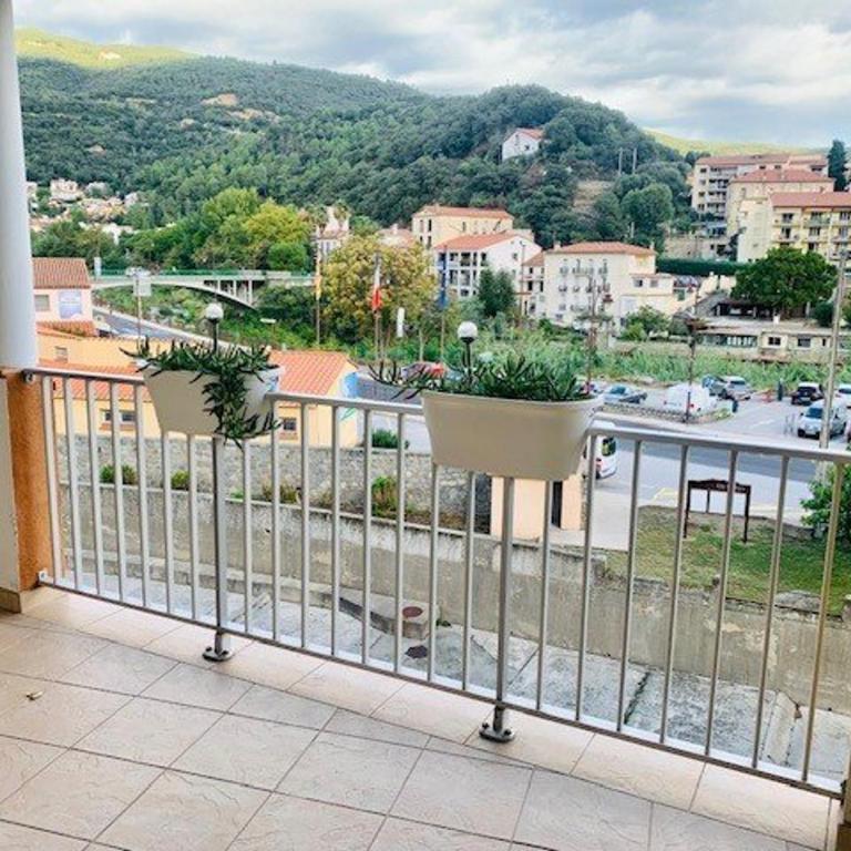 Charmant F2 avec Terrasse, Clim, Parking, Animaux OK - Amélie-les-Bains - One-Bedroom Apartment - 8
