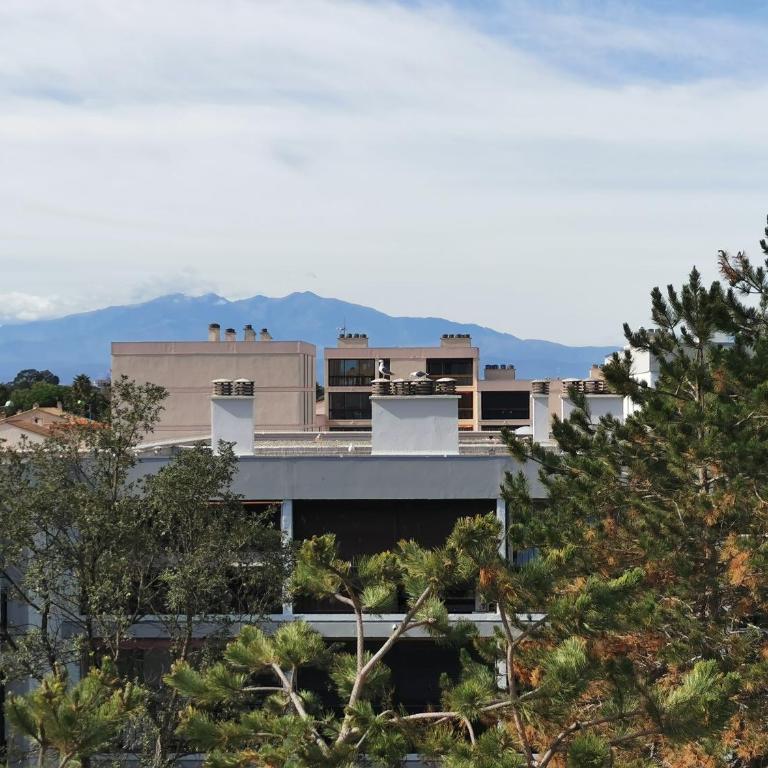 Appartement refait à neuf, climatisé avec vue mer et montagne, avec place de parking privative - Appartement 1 Chambre - 11