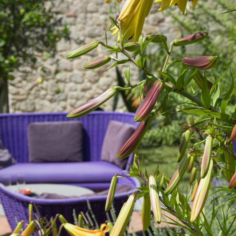 Villa La Rocca - Villa de 3 dormitorios - 17