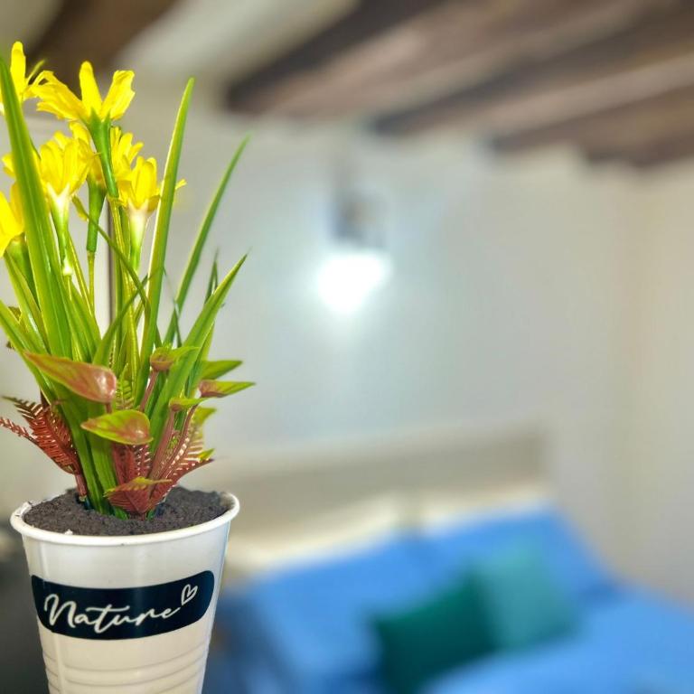 RESIDENCE ZAR - 2 - Appartamento con 1 Camera da Letto - 3