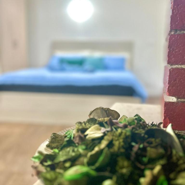 RESIDENCE ZAR - 2 - Appartamento con 1 Camera da Letto - 4