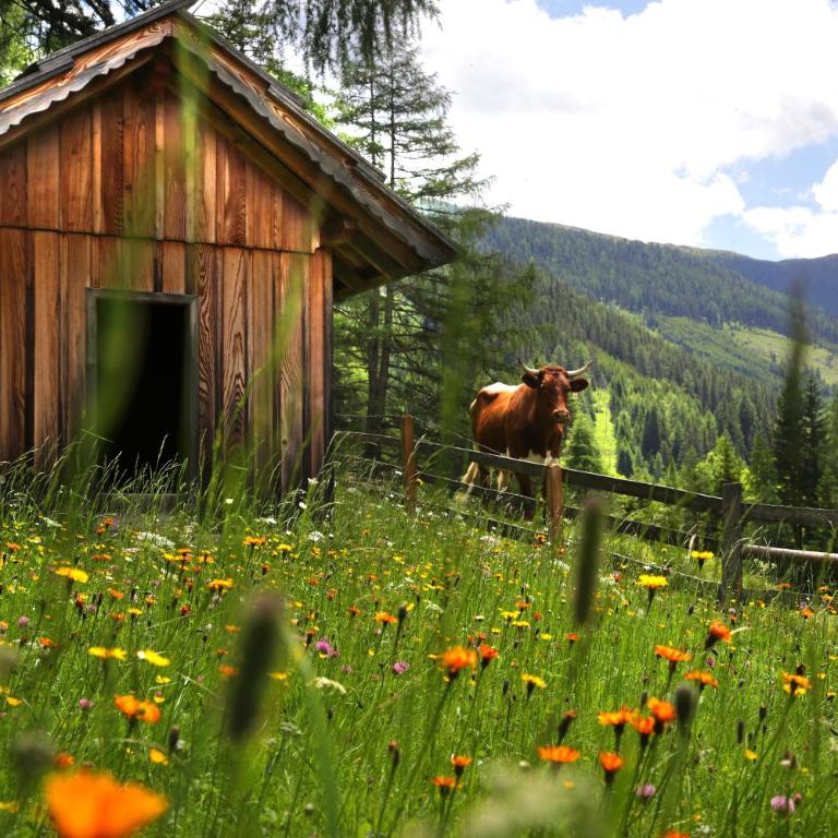 Gasserhütte - Apartment mit 2 Schlafzimmern - 11