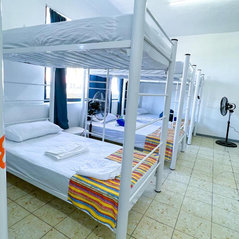 Vive Alegria Hostel - Bunk Bed in Mixed Dormitory Room - 4
