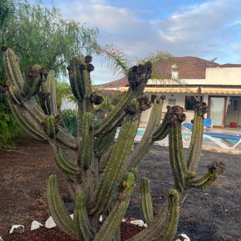 Villa Chloé - Villa de 2 dormitorios - 39