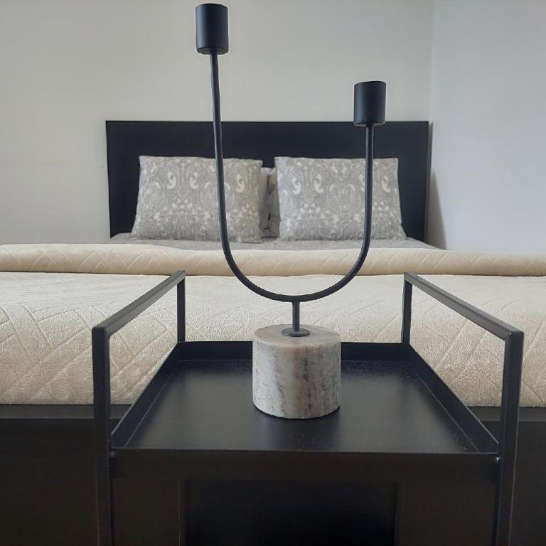 Apartman Elena Dedinje - Apartman sa 1 Spavaćom Sobom - 3